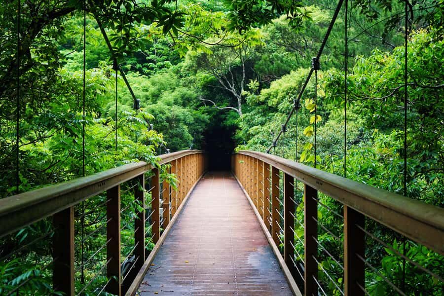 Okinawa: Private Photo & Sightseeing Adventure with a Local - Discovering Okinawa with a Local Guide