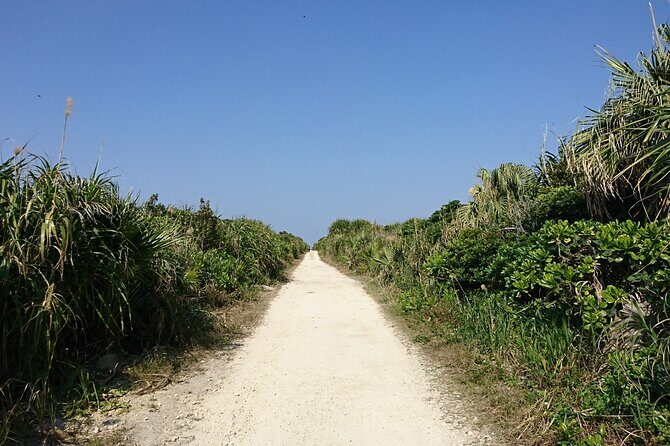 Okinawa: Sacred Island Tour to Kudakas Ryukyuan Holy Sites - Who Will Love This Tour?