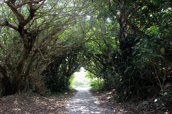 Okinawa: Sacred Island Tour to Kudakas Ryukyuan Holy Sites - Practical Insights and Tips