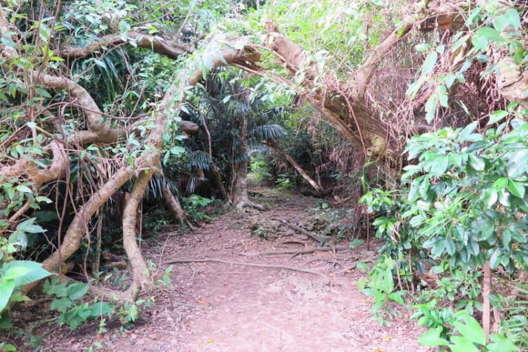 Okinawa: Sacred Island Tour to Kudakas Ryukyuan Holy Sites - An In-Depth Look at the Kudaka Island Sacred Sites Tour