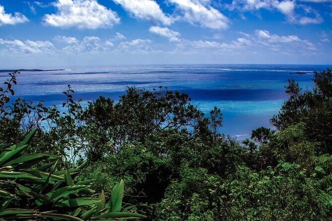 Okinawa: Sacred Sefa Utaki Walk into Ryukyus Spiritual - Why Choose This Tour?