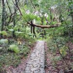 Okinawa: Sacred Sefa Utaki Walk into Ryukyus Spiritual - Detailed Review of the Sefa Utaki Sacred Site Tour