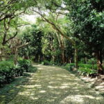 Okinawa: Shikinaen Royal Garden Guided Tour  UNESCO Site - Exploring the Shikinaen Garden: A Cultural and Aesthetic Delight