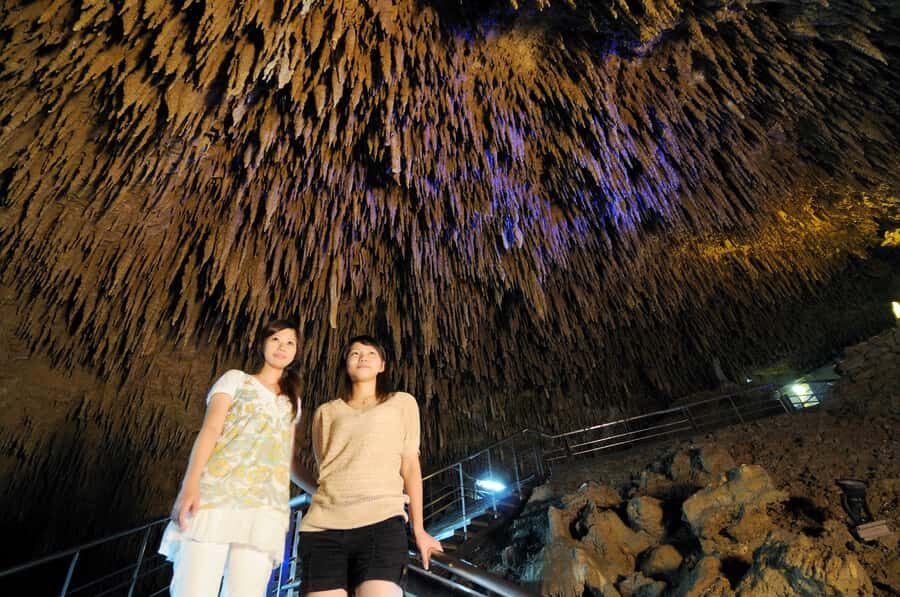 Okinawa: South Island Tour to Shurijo Castle & Okinawa World - An In-Depth Look at the Okinawa South Island Tour