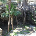 Okinawa: WWII Himeyuri Memorial & Peace Museum Guided Tour - FAQ