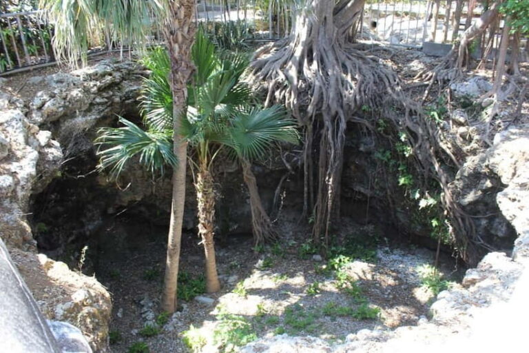 Okinawa: WWII Himeyuri Memorial & Peace Museum Guided Tour - FAQ