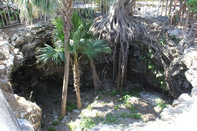 Okinawa: WWII Himeyuri Memorial & Peace Museum Guided Tour - FAQ