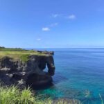 Okinawa: Yaedake Cherry Blossom Festival Private Trip - An In-Depth Look at the Tour Experience