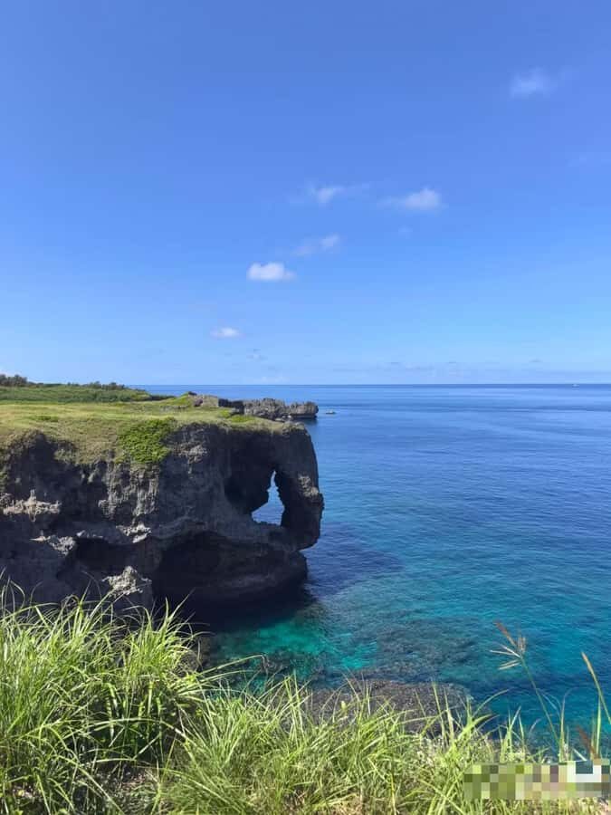 Okinawa: Yaedake Cherry Blossom Festival Private Trip - An In-Depth Look at the Tour Experience