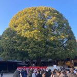 Old and new: Meiji Shrine, Takeshita Street & Shibuya Tour - Practical Details and What You Need to Know