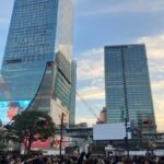 Old and new: Meiji Shrine, Takeshita Street & Shibuya Tour - What Sets This Tour Apart