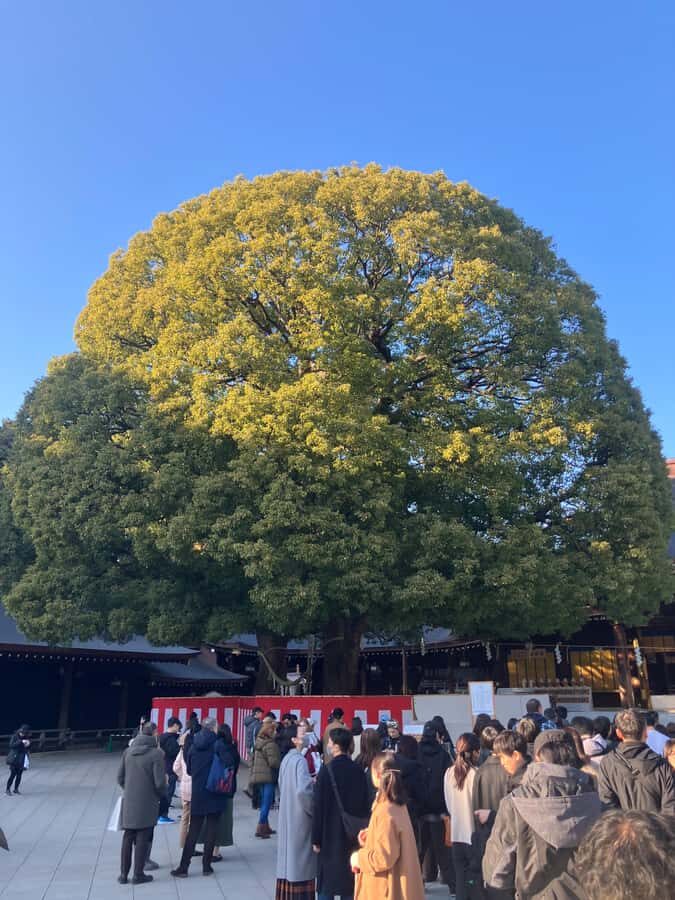 Old and new: Meiji Shrine, Takeshita Street & Shibuya Tour - Practical Details and What You Need to Know