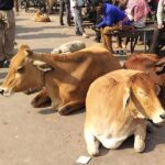 Old Delhi Tour With Rickshaw Ride and Street Food - Highlights That Make the Tour Special