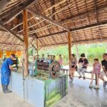 Old Phuket Farm Traditional Phuket Heritage Tour - FAQ