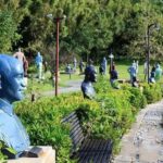 Old Souls and Hidden Stories: Discovering Taoyuans Charm - A Complete Guide to the Taoyuan Day Trip