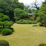 Old Tokyo Tour: Shibamata Nostalgic Streets Small Group Tour - Authentic Local Insights from Reviews