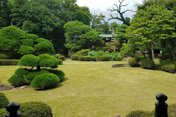 Old Tokyo Tour: Shibamata Nostalgic Streets Small Group Tour - Authentic Local Insights from Reviews