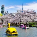 Old Tokyo Walk: Uenos Parks, Temples & Local Neighborhoods - An In-Depth Look at the Old Tokyo Walk in Ueno