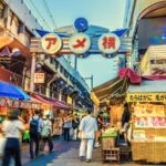 Old Tokyo Walk: Uenos Parks, Temples & Local Neighborhoods - A Detailed Breakdown of the Ueno Walk Experience