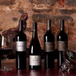 Old Vine Expressions Tasting - Final Thoughts: Who Should Book This?