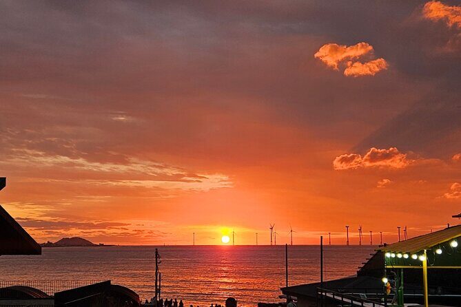 Olle Trail Sunset Tour in Jeju Island - The Itinerary Breakdown