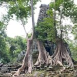 One Day Angkor Thom and Temples Tour from Siem Reap - Practical Details and What to Expect