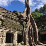 One Day Angkor Wat Bayon Ta Prohm From Siem Reap - Transport, Guides, and Value