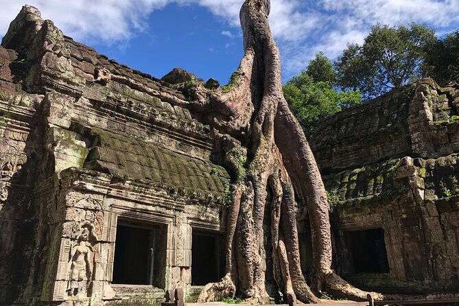 One Day Angkor Wat Bayon Ta Prohm From Siem Reap - Transport, Guides, and Value