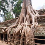 One Day Angkor Wat Trip with Sunset on Bakheng Hill - Why This Tour Offers Great Value