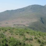 One-Day Cultural & Nature Tour: Jeypore & Koraput - The Practicalities: Transport, Guides, and Flexibility