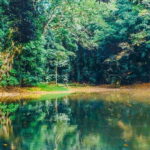 One Day Kandy Kingdom City Tour - Starting the Journey: From Pickup to Introduction