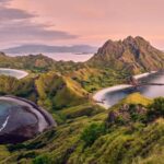 One-Day Komodo Tour By Speedboat - What Makes This Tour Stand Out