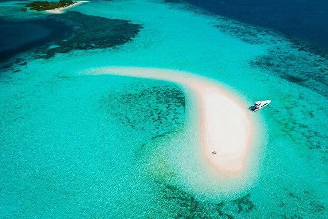 One Day Komodo Trip (Sailing) - What’s Included and What’s Not?