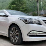 One-day private transfer service to Leshan from Chengdu - What Makes This Private Transfer Stand Out?