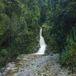 One Day Tour from Hokitika on Wilderness Trail by eBike - Why This Tour Might Be Perfect for You