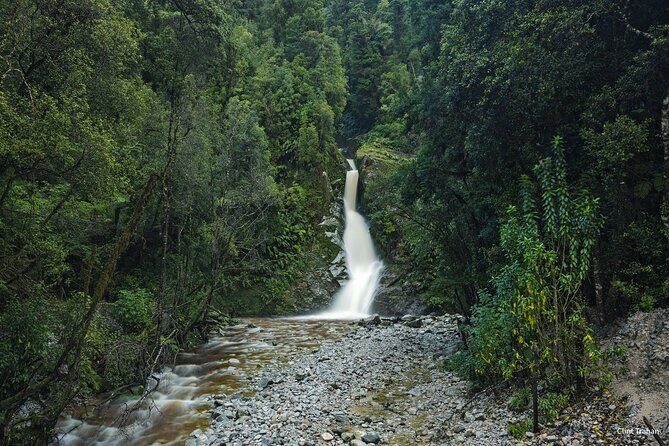 One Day Tour from Hokitika on Wilderness Trail by eBike - Why This Tour Might Be Perfect for You