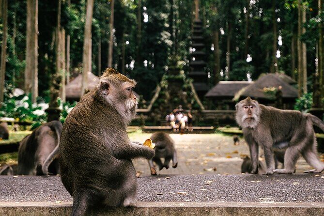 One Day Tour Ubud With Private Guide - Practicalities & What to Expect