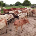 One Stop Place for all your favourite Activities in Delhi - Who Will Love This Experience?