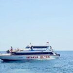 One-way Ticket Fast Boat from Nusa Penida or Gili T, Air, Lombok - What Travelers Can Expect at Each Stop