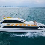 One Way Ticket Fast Boat from Sanur Bali and Nusa Penida - A Closer Look at the Experience