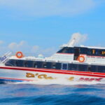 One-way Ticket Fast Boat from Sanur Bali or Nusa Lembongan - The Experience Breakdown: What to Expect from the Fast Boat Service
