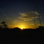 Organic Cooking Class Sigiriya TASTY TASKS - The Itinerary and Experience