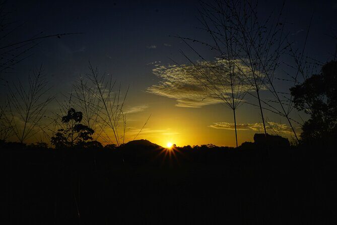 Organic Cooking Class Sigiriya TASTY TASKS - The Itinerary and Experience