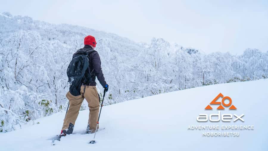 Orofure Pass Beginner Snowshoeing Tour - Who Will Love This Tour?