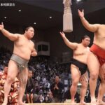 Osaka: 2026 Sumo Tournament Tour with Chanko-nabe Lunch - What We Love and What to Consider