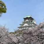 Osaka: 3-hour Osaka Castle & Historical Museum Guided Tour - The Crown Jewel: Osaka Castle