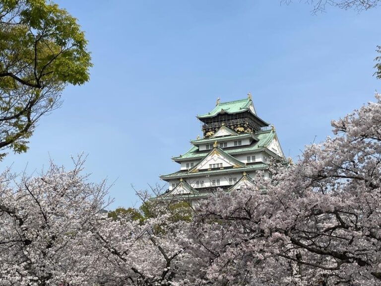 Osaka: 3-hour Osaka Castle & Historical Museum Guided Tour - The Crown Jewel: Osaka Castle