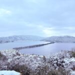 Osaka: Amanohashidate and Ine Funaya with seafood lunch Trip - A Deep Dive into the Experience