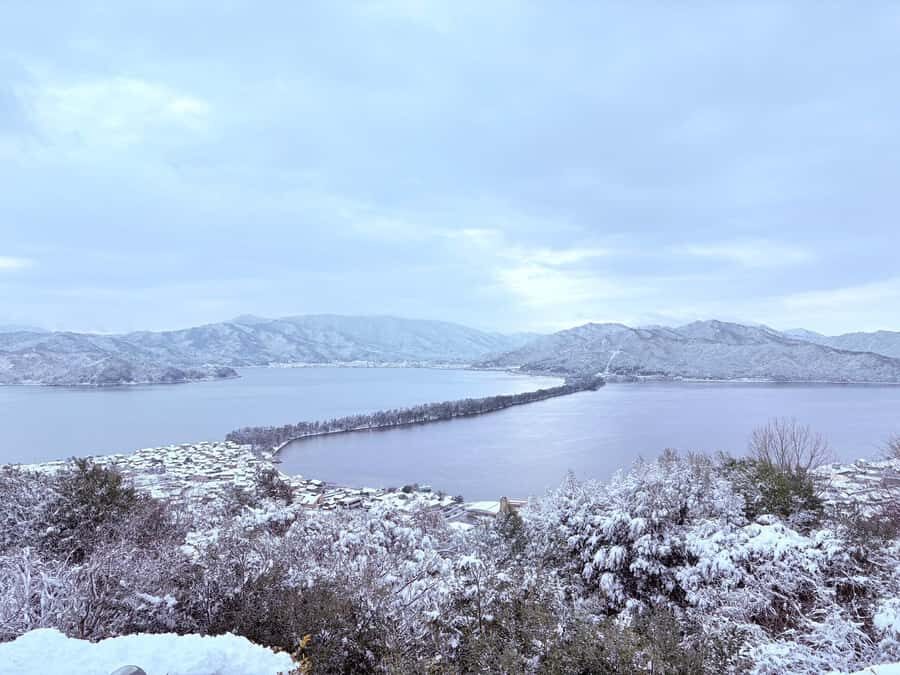 Osaka: Amanohashidate and Ine Funaya with seafood lunch Trip - A Deep Dive into the Experience