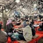 Osaka and Kyoto Private Car City Tour - The Value of a Private, Customizable Tour